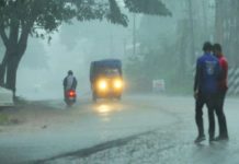കനത്ത മഴ; വയനാട് ചുരത്തിൽ മരം വീണ് ഗതാഗതതടസം, കാലവർഷം നാലു ദിവസത്തിനകം