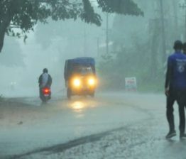 കനത്ത മഴ; വയനാട് ചുരത്തിൽ മരം വീണ് ഗതാഗതതടസം, കാലവർഷം നാലു ദിവസത്തിനകം