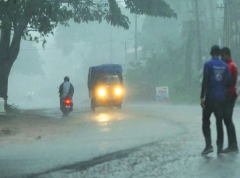 കനത്ത മഴ; വയനാട് ചുരത്തിൽ മരം വീണ് ഗതാഗതതടസം, കാലവർഷം നാലു ദിവസത്തിനകം