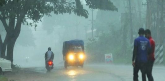 കനത്ത മഴ; വയനാട് ചുരത്തിൽ മരം വീണ് ഗതാഗതതടസം, കാലവർഷം നാലു ദിവസത്തിനകം