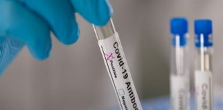 ടെസ്റ്റ് പോസിറ്റിവിറ്റി നിരക്ക് ഉയരുന്നു; സംസ്ഥാനത്ത് കോവിഡ് രണ്ടാം തരംഗമെന്ന് സൂചന test positivity