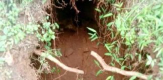 കുറുമ്പാലക്കോട്ടയിലെ ഗർത്തം സോയില് പൈപ്പിങ് പ്രതിഭാസം; ഭീതി വേണ്ട