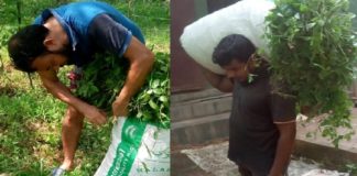 കോവിഡ് രോഗികളുടെ വീടുകളിലെ മൃഗങ്ങൾക്ക് ആശ്വാസമായി സാന്ത്വനം പ്രവർത്തകർ SYS Santhwanam Relief workers for the comfort of pets in the homes of Covid patients