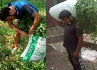 SYS Santhwanam Relief workers for the comfort of pets in the homes of Covid patients