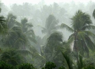 monsoon-kerala