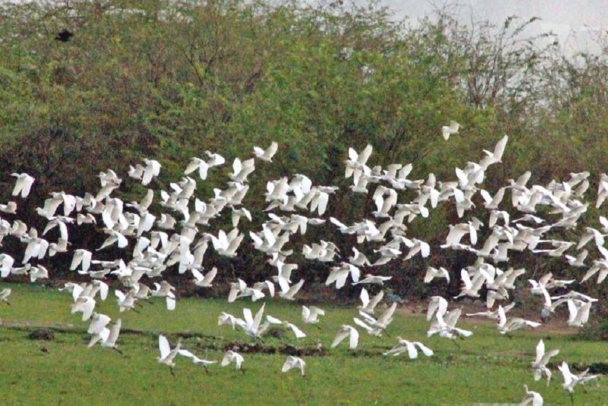 kannur news kannur news