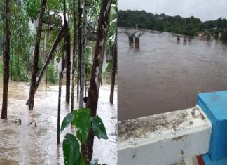 മഴ ശക്തം; പത്തനംതിട്ടയിലെ നദികളിൽ ജലനിരപ്പ് ഉയരുന്നു