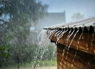 മഴക്കാലപൂർവ ശുചീകരണം; 4 ദിവസത്തെ പരിപാടിക്ക് ജില്ലയിൽ നാളെ തുടക്കം