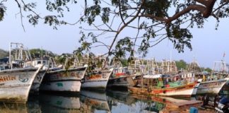 മലപ്പുറം ജില്ലയിൽ നാളെ മുതൽ ഹാർബറുകളുടെ പ്രവർത്തനത്തിന് അനുമതി
