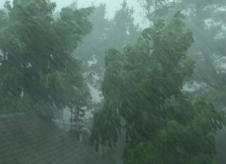 യാസ് ചുഴലിക്കാറ്റ്; ഇന്ന് 7 ജില്ലകളിൽ യെല്ലോ അലർട്; 27 വരെ മുന്നറിയിപ്പ് kerala rain alert
