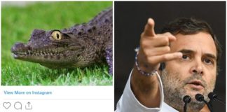 Rahul Gandhi trolls Narendra modi