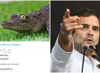 Rahul Gandhi trolls Narendra modi