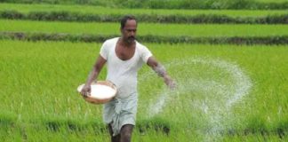 ലോക്ക്ഡൗൺ; കൃഷിക്കാർക്ക് വിത്ത് ഇറക്കാൻ അനുമതി നൽകുമെന്ന് മുഖ്യമന്ത്രി