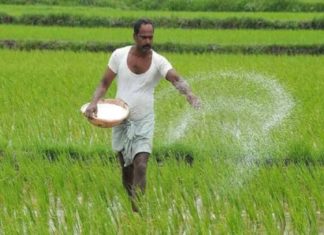 ലോക്ക്ഡൗൺ; കൃഷിക്കാർക്ക് വിത്ത് ഇറക്കാൻ അനുമതി നൽകുമെന്ന് മുഖ്യമന്ത്രി