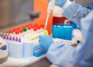 പാലക്കാട് ജില്ലയിലെ ആറ് കേന്ദ്രങ്ങളിൽ നാളെ സൗജന്യ ആർടിപിസിആർ പരിശോധന covid-test-lab