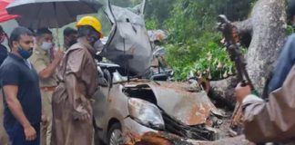 കട്ടപ്പനയിൽ കാറിന് മുകളില് വന്മരം വീണു; ഒരു മരണം Kattappana_Car_Accident