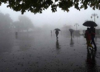 ഇന്ന് റെഡ് അലർട്; എൻഡിആർഎഫ് സംഘം എത്തി, അതീവ ജാഗ്രതയിൽ ജില്ല