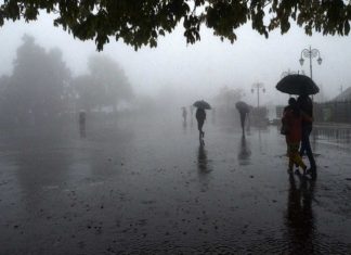 ചക്രവാതച്ചുഴി തെക്ക് കിഴക്കൻ അറബിക്കടലിൽ പ്രവേശിച്ചു; കേരളത്തിൽ 5 ദിവസം കൂടി മഴ heavy rain in kerala