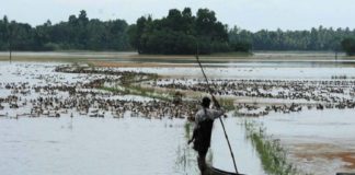 Flood in Kuttanad