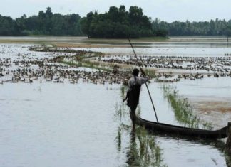 Flood in Kuttanad