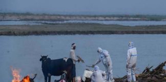 เดฎเตเดคเดฆเตเดนเดเตเดเตพ เดเดเดเดฏเดฟเตฝ เดเดดเตเดเตเดเดฟเดฏ เดธเดเดญเดตเด; เดเตเดจเตเดฆเตเดฐเดคเตเดคเดฟเดจเตเด เดธเดเดธเตโเดฅเดพเดจเดเตเดเตพเดเตเดเตเด เดฎเดจเตเดทเตเดฏเดพเดตเดเดพเดถ เดเดฎเตเดฎเตเดทเดจเตเดฑเต เดจเตเดเตเดเตเดธเต