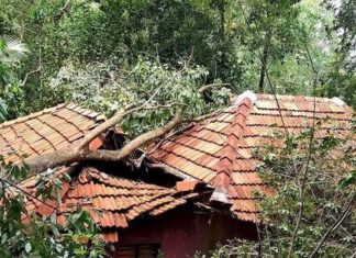 കാറ്റും മഴയും; ആലത്തൂർ ഭാഗത്ത് വ്യാപക നാശം