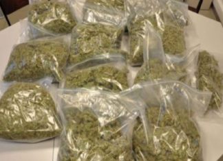 കോഴിക്കോട് മൂന്ന് കിലോയിലധികം കഞ്ചാവുമായി യുവാവ് പിടിയിൽ