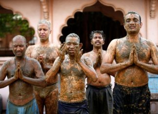 കോവിഡ് ചികിൽസയ്ക്ക് ചാണകം; പ്രതിഷേധവുമായി ആരോഗ്യ വിദഗ്ധർ cow-dung-for covid