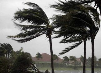 heavy wind