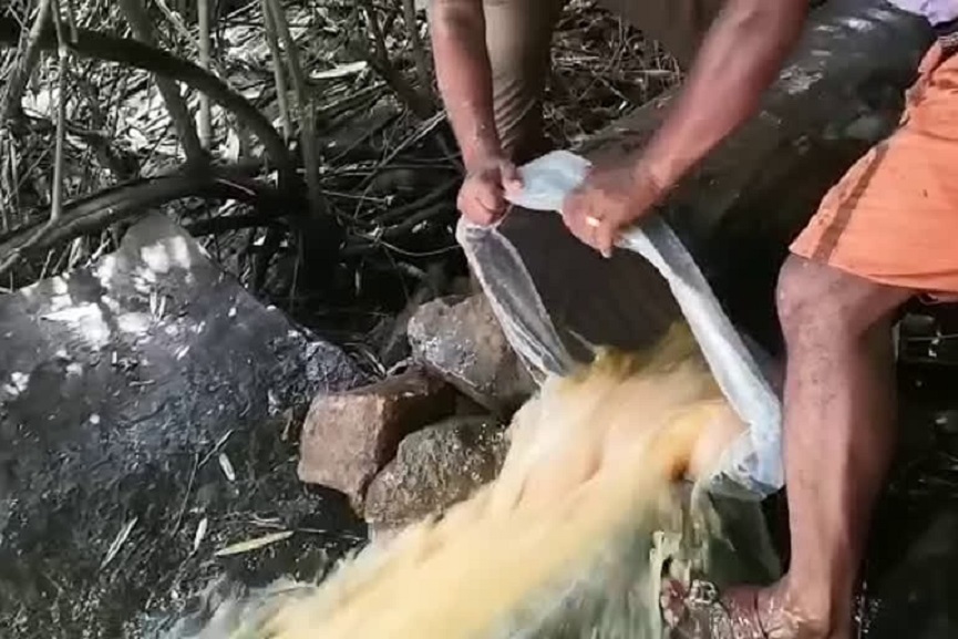 wash_seized wash_seized