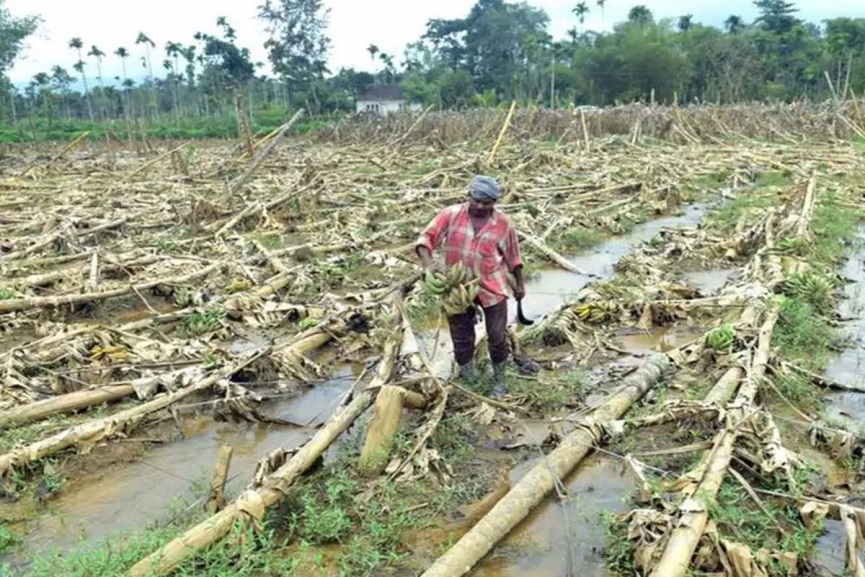 wayanad news wayanad news