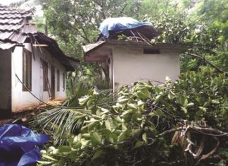 കനത്ത മഴയും കാറ്റും; പാലക്കാട് തൂതയിൽ വീടുകൾ നശിച്ചു