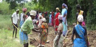 രോഗവ്യാപനം രൂക്ഷമാകുമ്പോഴും തൊഴിലുറപ്പ് പണി നിർത്താതെ നൂൽപ്പുഴ