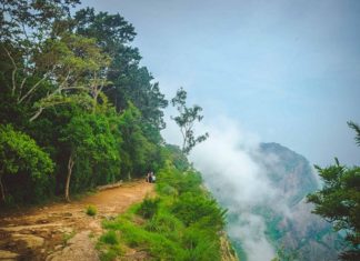 കോവിഡ് രൂക്ഷം; പ്രധാന വ്യൂ പോയിന്റുകൾ അടച്ച് നെല്ലിയാമ്പതി nelliyampathy