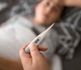 പകർച്ചവ്യാധി ഭീഷണിയിൽ കേരളം; 19 പേർക്ക് കൂടി ഷിഗെല്ല, 68 ഡെങ്കി, ഒരു കുരങ്ങുപനി Dengue-Fever-in-delhi