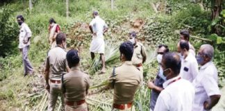 wild elephant attack in Wayanad