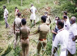 wild elephant attack in Wayanad