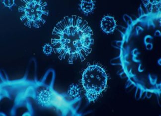 മുക്കത്ത് ഡെൽറ്റ പ്ളസ് വകഭേദം; 4 പേർക്ക് സ്ഥിരീകരിച്ചു delta plus variant