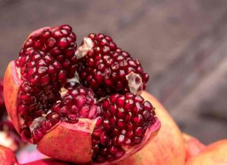 Pomegranate