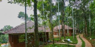 Resorts In Wayanad