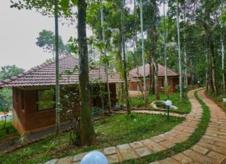 തൊഴിലാളികളും ഉടമകളും കടക്കെണിയിൽ; റിസോർട്ടുകൾ തുറക്കണമെന്ന് ആവശ്യം Resorts In Wayanad