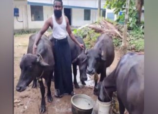 ഫാം നടത്തിപ്പിന്റെ മറവിൽ വാറ്റ്; ഡിവൈഎഫ്ഐ നേതാവിനെതിരെ കേസ്