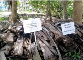 ഓല കൂട്ടിയിട്ടാല് പിഴ; ‘ഓലമടല് സമര’വുമായി സേവ് ലക്ഷദ്വീപ് ഫോറം Protest in lakshadweep