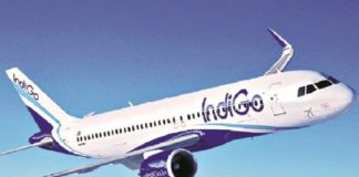 Indigo Domestic Service
