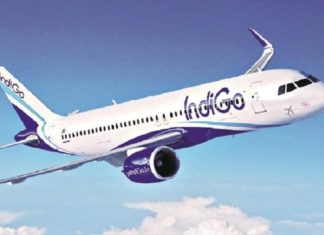 Indigo Domestic Service