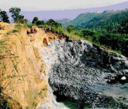 Palakkad Quarry Accident