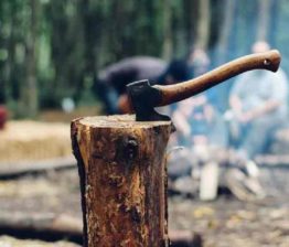 Wood-Smuggling case
