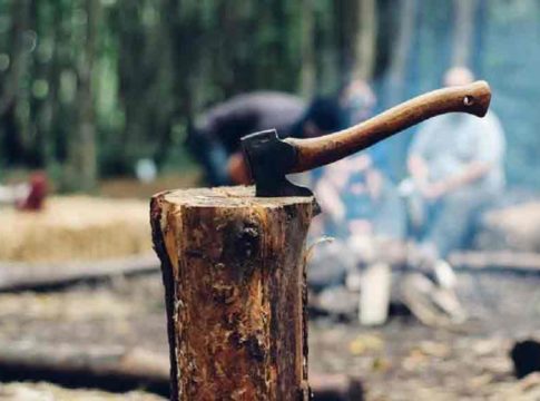 Wood-Smuggling case
