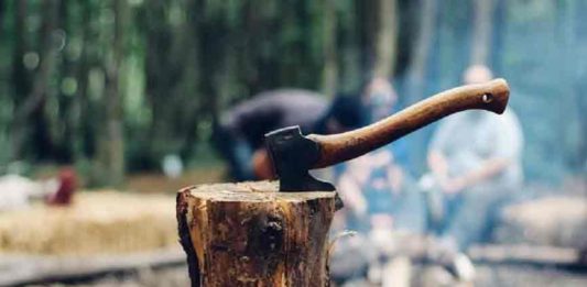 Wood-Smuggling case