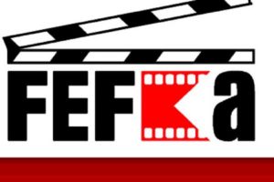 Fefka against the Centre's new film law draft